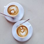 画像3: LINO ダブルカプチーノ カップ＆ソーサー 6oz , 6客セット (3)