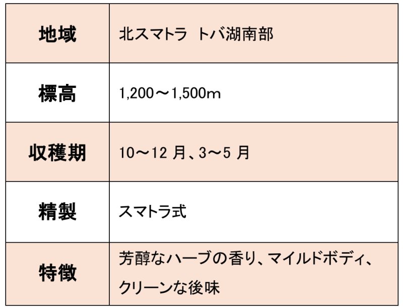 画像5: インドネシア リントン, スーパーグレード マイクロロット “トゥルーブルー”, スマトラ式 2023  ※ハンドピック済1kg (5)