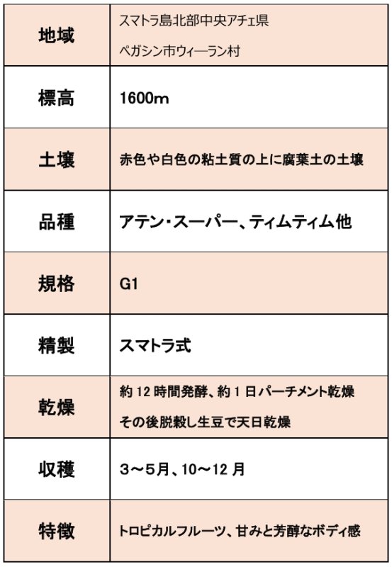 画像4: インドネシア アチェ レッド ガヨ G1 ウィーラン, スマトラ式 2023crop  ※ハンドピック済1kg (4)
