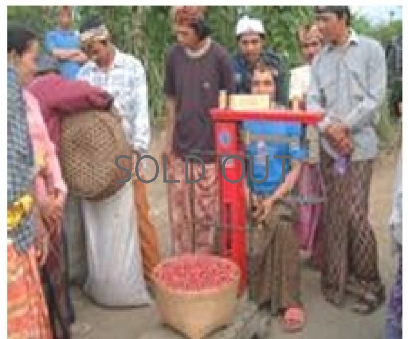 画像2: インドネシア バリ アラビカ 神山, washed 2023/24  ※ハンドピック済１kg (2)