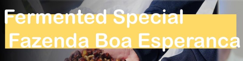 画像2: ブラジル アルティサンプロセス熟成スペシャル、natural 2024/25 エスぺランカ農園　※ハンドピック済１kg (2)