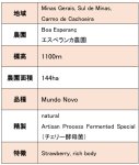 画像3: ブラジル アルティザンプロセス熟成スペシャル、natural 2023/24 エスぺランカ農園　※ハンドピック済１kg (3)