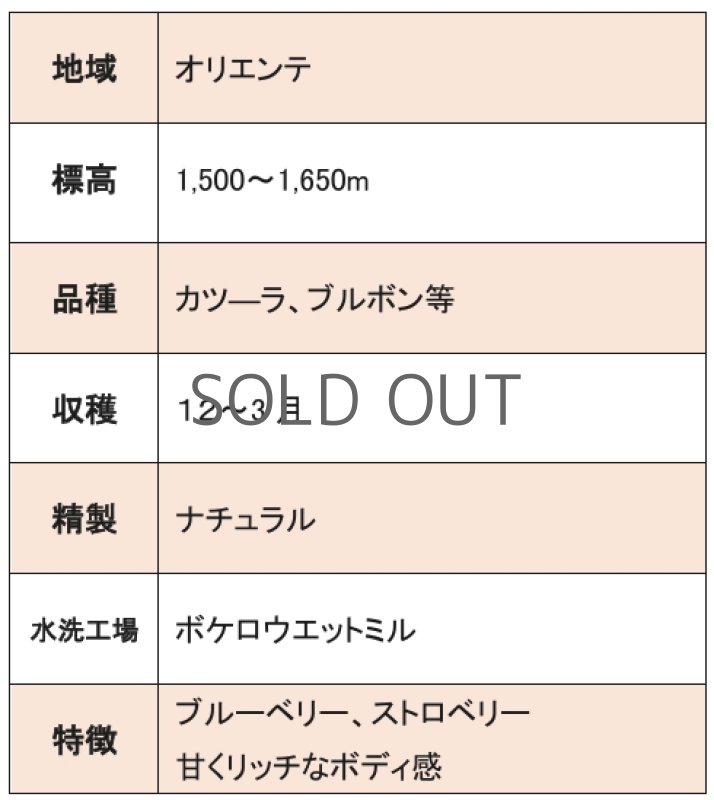 画像3: グァテマラ オリエンテ ナチュラル, natural 2023/24 ボケロウエットミル　※ハンドピック済１kg (3)